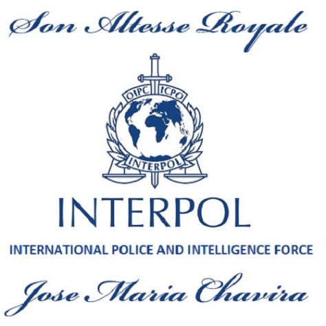 interpol-global-security-head